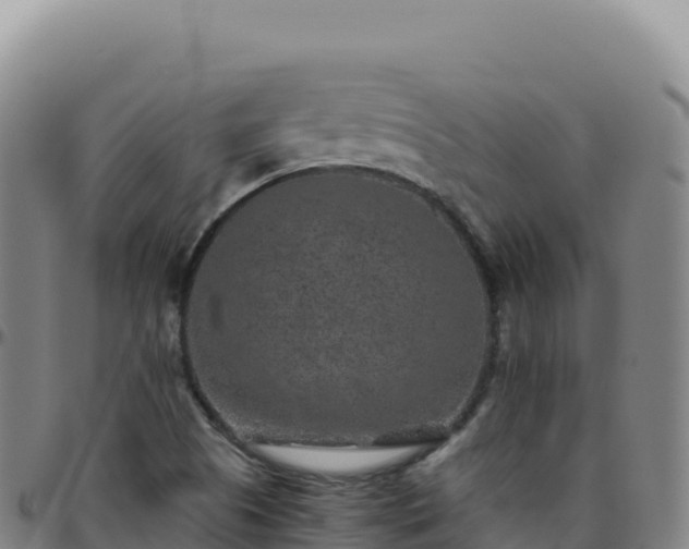 X0000096481505200801311545