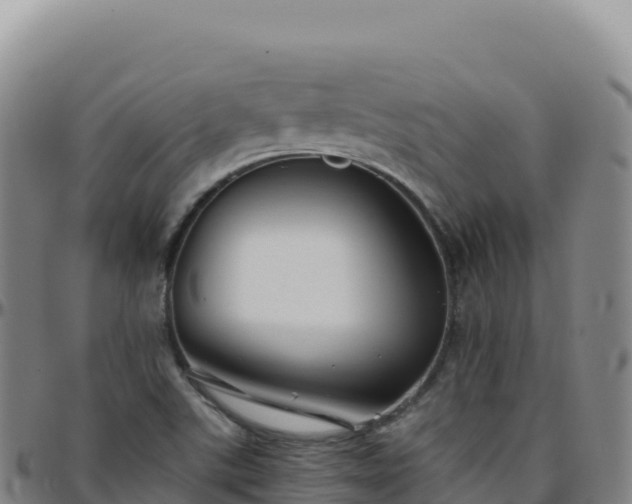 X0000096481507200801311545