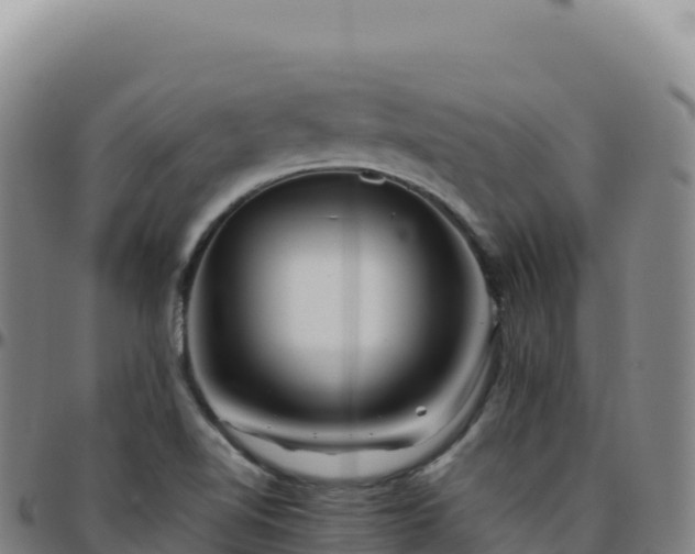 X0000096481510200801311545