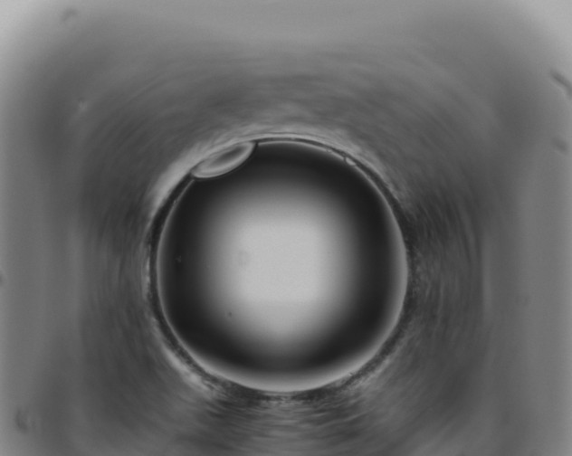 X0000096481511200801311545