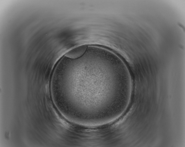 X0000096481513200801311545