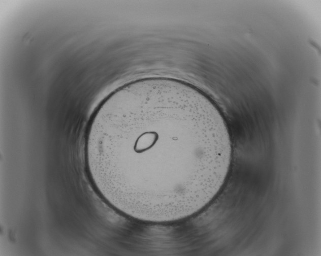 X0000096481514200801311545