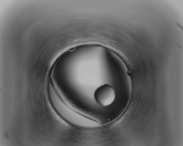 X0000096481518200801311545