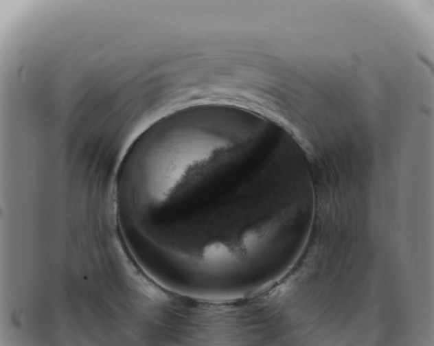 X0000096481522200801311545