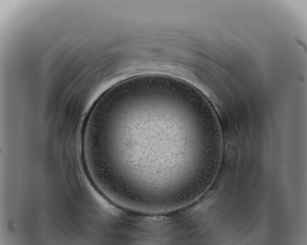 X0000096481523200801311545