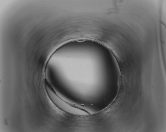 X0000096481524200801311545