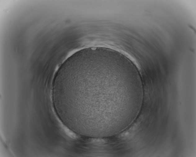 X0000096481525200801311545