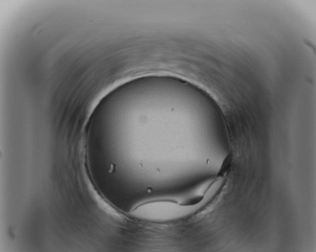 X0000096481526200801311545