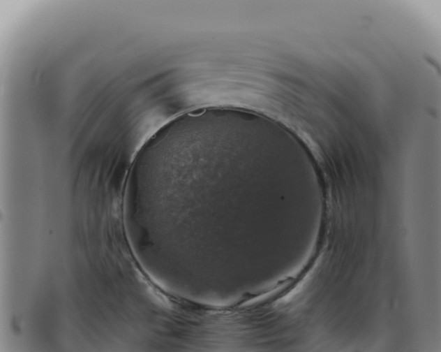 X0000096481529200801311545