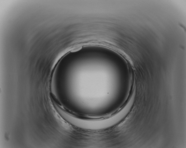 X0000096481530200801311545