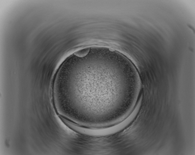 X0000096481531200801311545