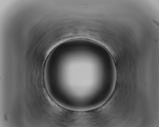 X0000096481534200801311545