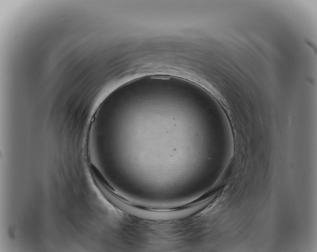 X0000096481536200801311545