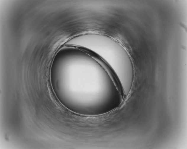 X0000096480001200802071930