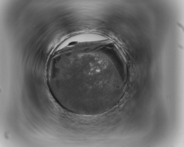 X0000096480002200802071930