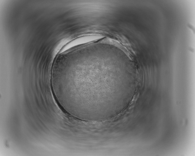 X0000096480003200802071930