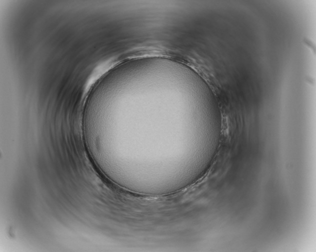 X0000096480004200802071930