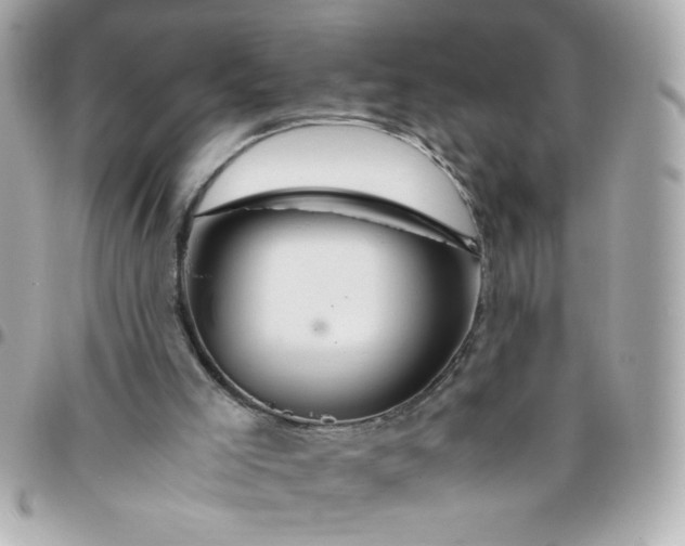 X0000096480005200802071930