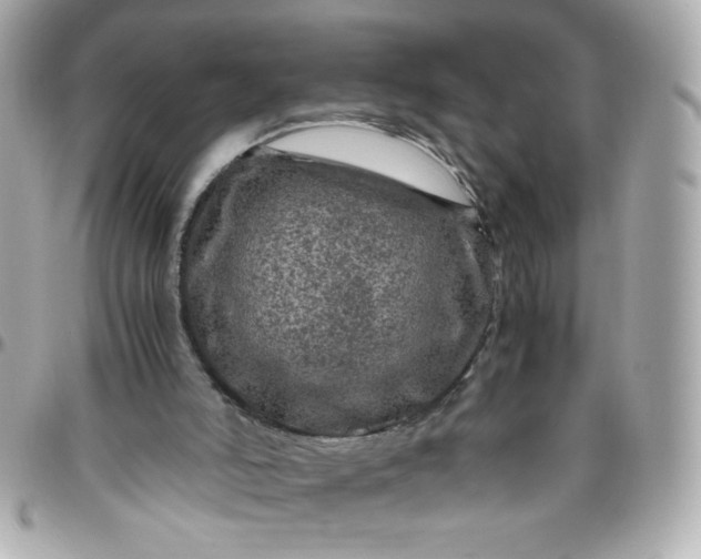 X0000096480006200802071930