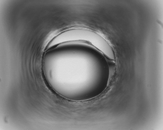 X0000096480007200802071930