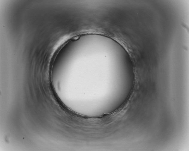 X0000096480008200802071930