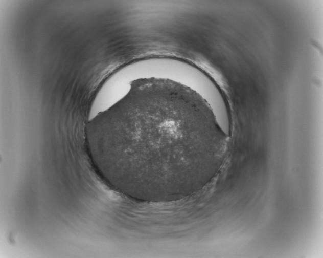 X0000096480009200802071930