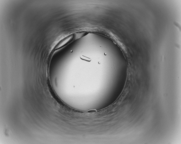 X0000096480011200802071930