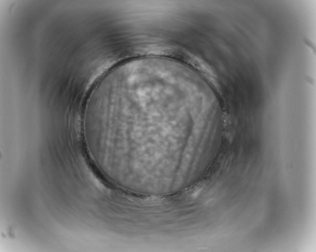 X0000096480012200802071930