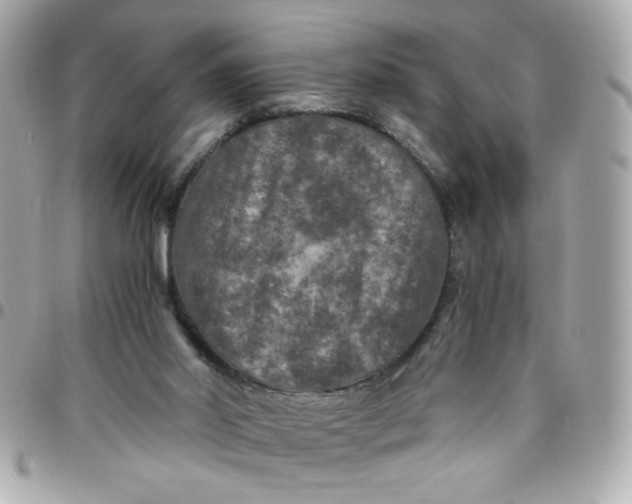 X0000096480014200802071930