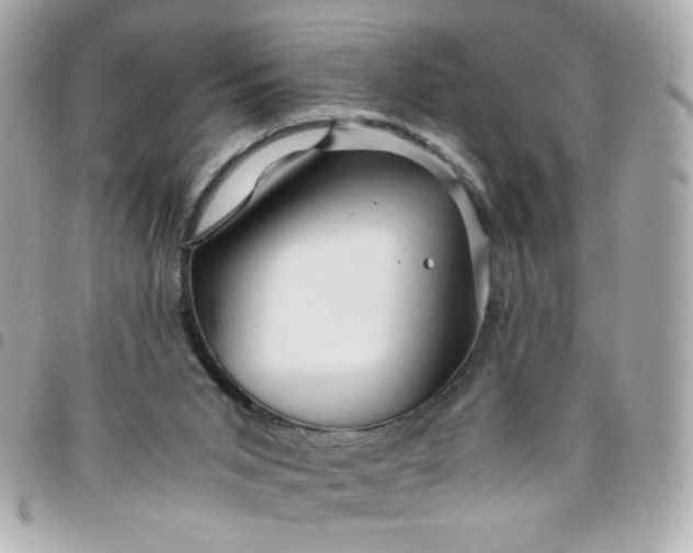 X0000096480015200802071930