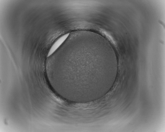 X0000096480017200802071930