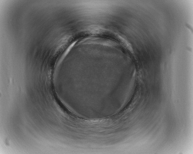 X0000096480018200802071930