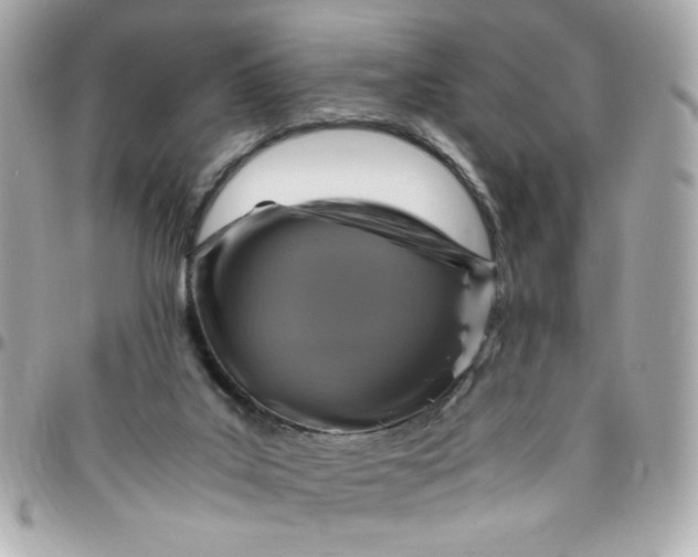 X0000096480019200802071930