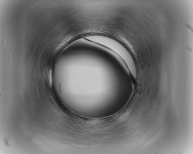 X0000096480020200802071930