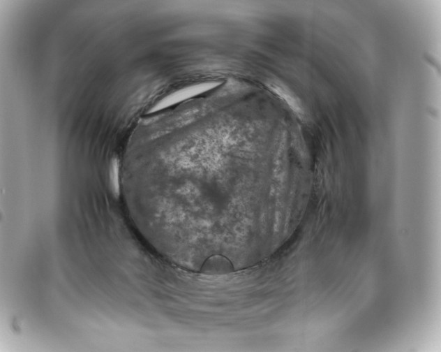 X0000096480022200802071930