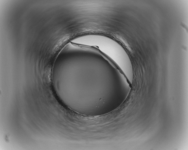 X0000096480023200802071930