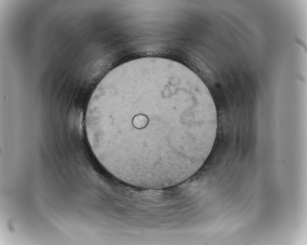 X0000096480024200802071930