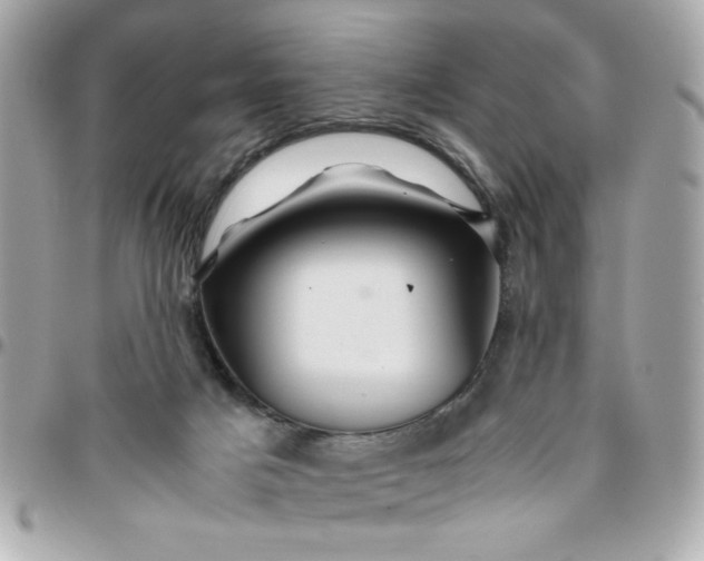 X0000096480025200802071930