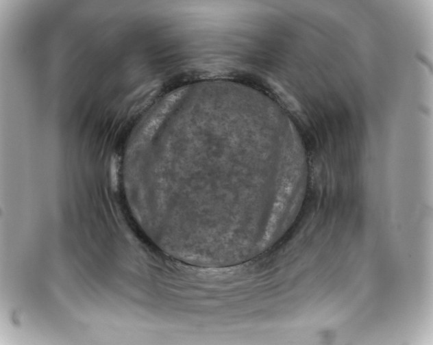 X0000096480026200802071930