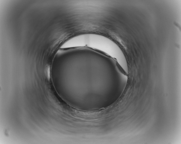 X0000096480027200802071930