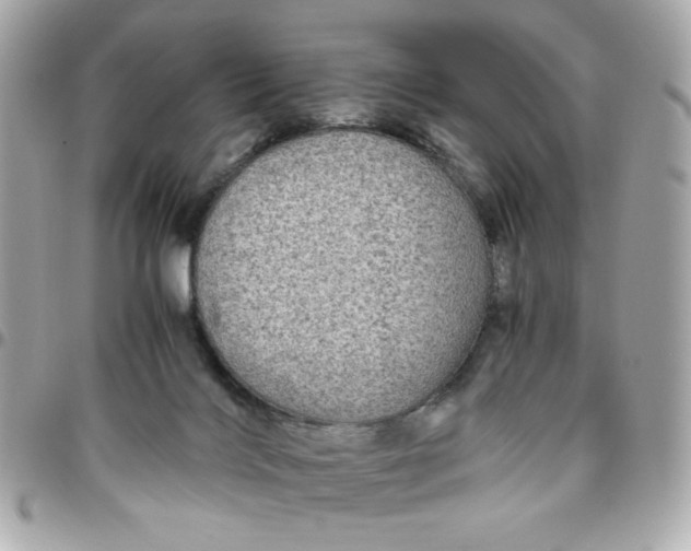 X0000096480028200802071930