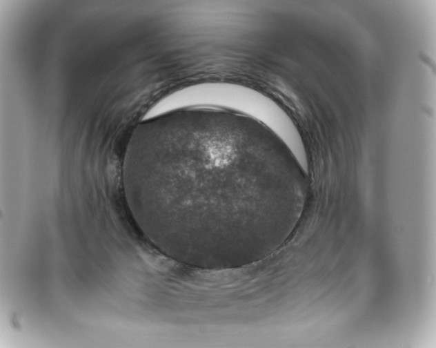 X0000096480029200802071930