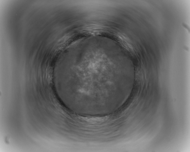 X0000096480030200802071930