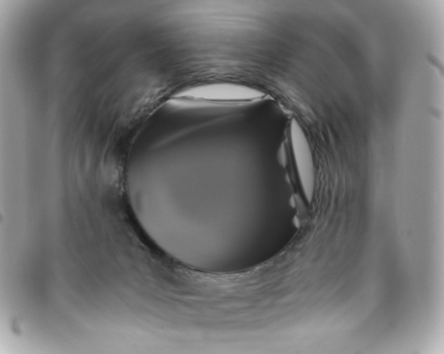 X0000096480031200802071930