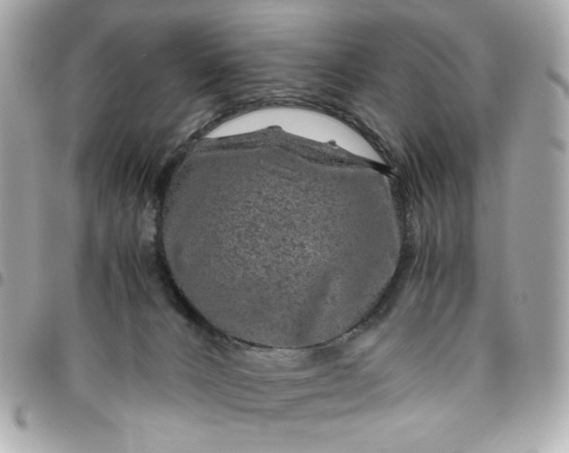 X0000096480032200802071930