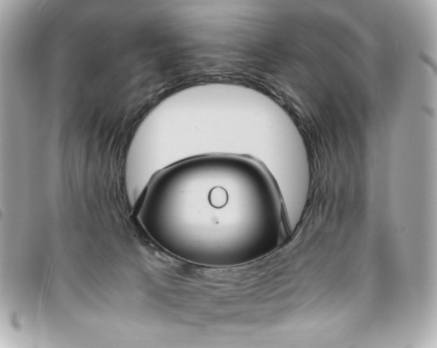 X0000096480033200802071930