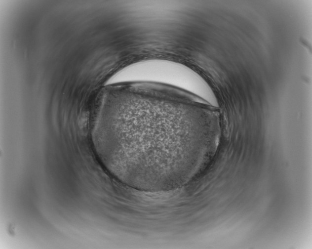 X0000096480034200802071930