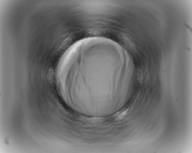 X0000096480036200802071930