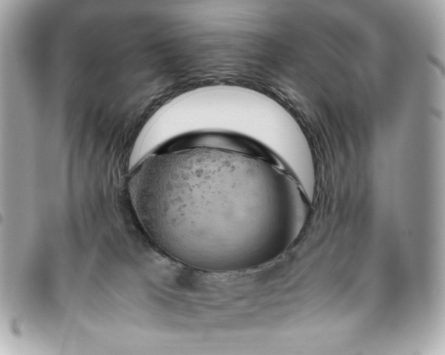 X0000096480037200802071930