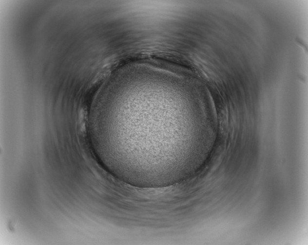 X0000096480038200802071930